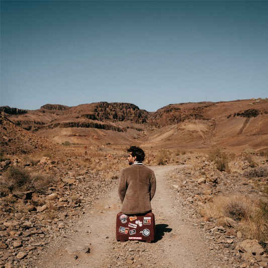 EL CAMINO (CD incl. sticker sheet + poster)